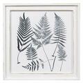 Youngs Wood Framed Botanical Wall Art 11574